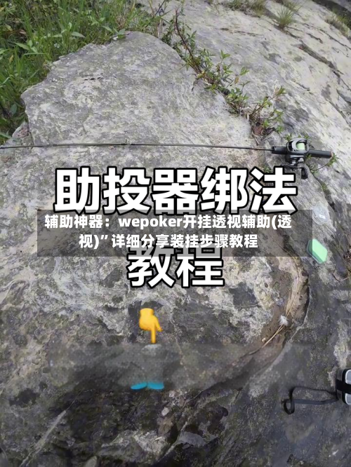 辅助神器：wepoker开挂透视辅助(透视)”详细分享装挂步骤教程-第1张图片