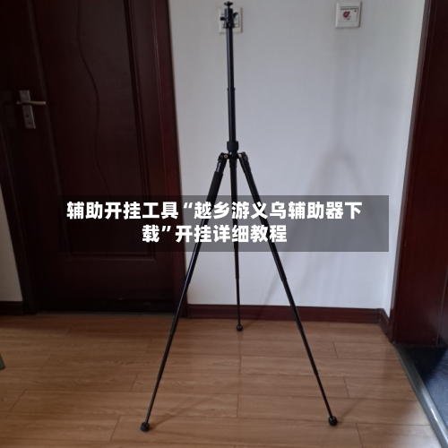 辅助开挂工具“越乡游义乌辅助器下载	”开挂详细教程-第2张图片