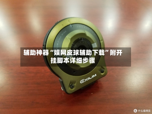 辅助神器“娱网皮球辅助下载”附开挂脚本详细步骤-第3张图片