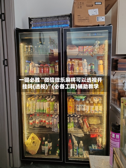 一键必胜“微信微乐麻将可以透视开挂吗(透视)”(必备工具)辅助教学-第3张图片