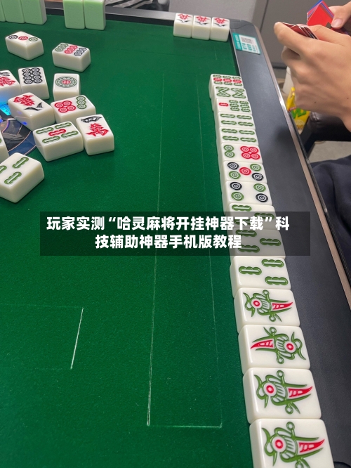 玩家实测“哈灵麻将开挂神器下载	”科技辅助神器手机版教程-第2张图片