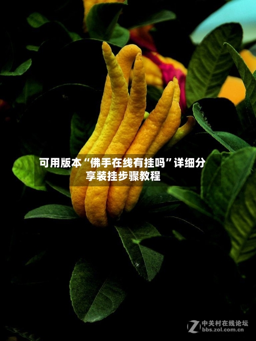 可用版本“佛手在线有挂吗”详细分享装挂步骤教程-第1张图片