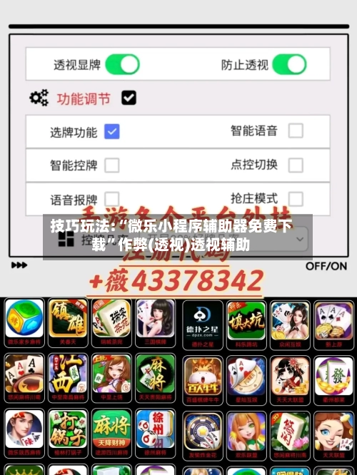 技巧玩法:“微乐小程序辅助器免费下载”作弊(透视)透视辅助-第3张图片