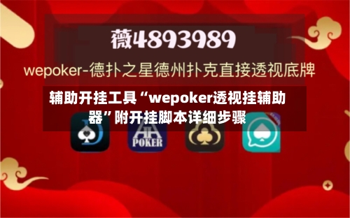 辅助开挂工具“wepoker透视挂辅助器”附开挂脚本详细步骤-第3张图片
