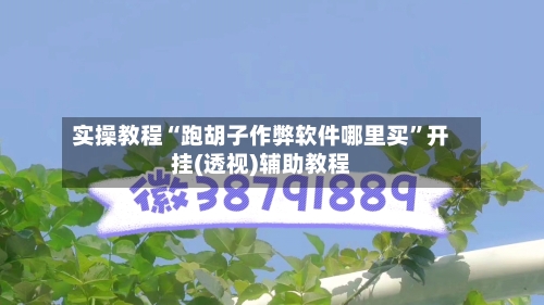 实操教程“跑胡子作弊软件哪里买	”开挂(透视)辅助教程-第1张图片