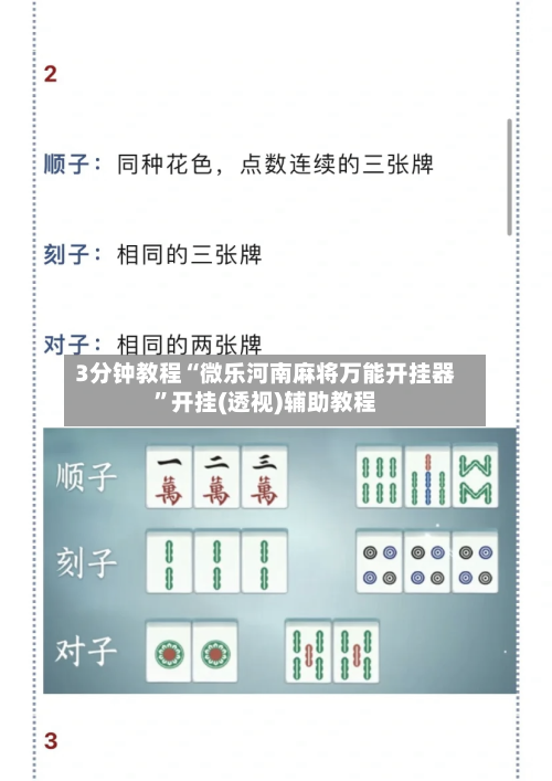 3分钟教程“微乐河南麻将万能开挂器”开挂(透视)辅助教程-第3张图片