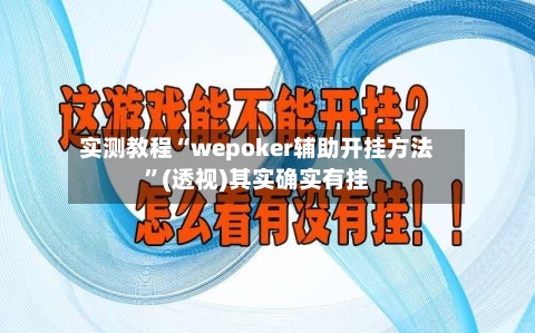 实测教程“wepoker辅助开挂方法”(透视)其实确实有挂-第2张图片