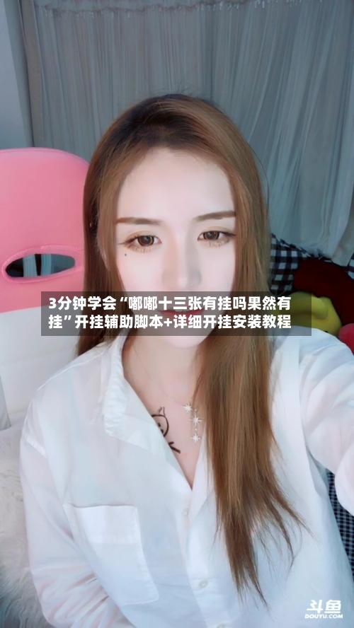 3分钟学会“嘟嘟十三张有挂吗果然有挂”开挂辅助脚本+详细开挂安装教程-第1张图片