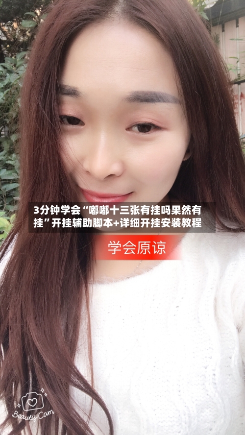 3分钟学会“嘟嘟十三张有挂吗果然有挂”开挂辅助脚本+详细开挂安装教程-第2张图片