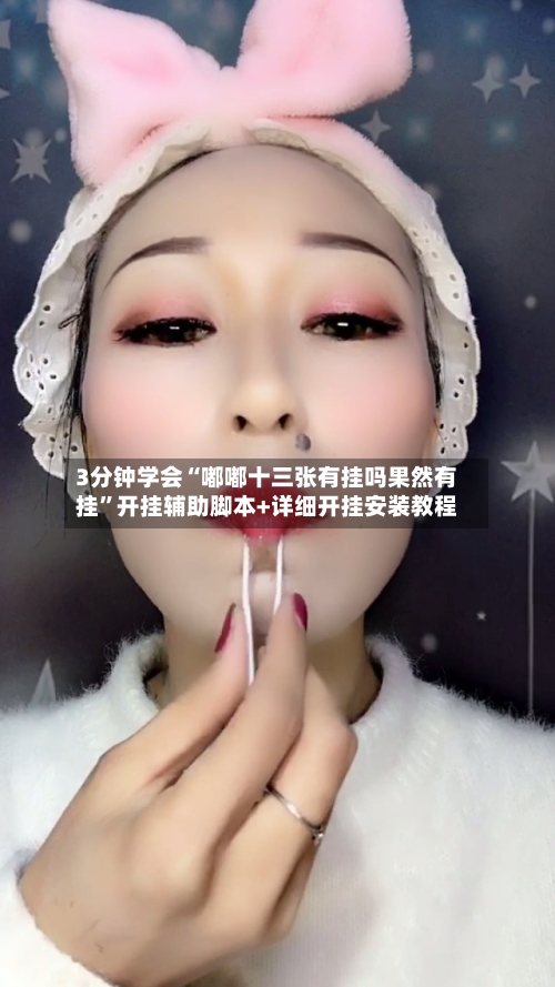 3分钟学会“嘟嘟十三张有挂吗果然有挂	”开挂辅助脚本+详细开挂安装教程-第3张图片