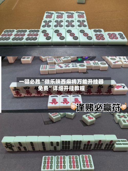 一键必胜“微乐陕西麻将万能开挂器免费	”详细开挂教程-第1张图片