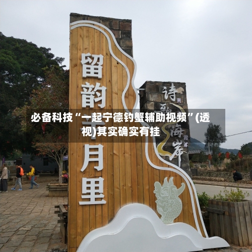 必备科技“一起宁德钓蟹辅助视频”(透视)其实确实有挂-第1张图片