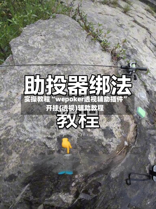 实操教程“wepoker透视辅助插件	”开挂(透视)辅助教程-第1张图片