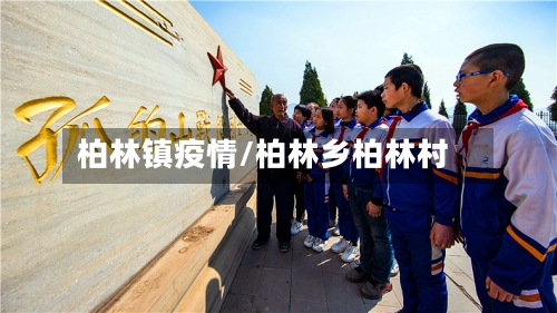 柏林镇疫情/柏林乡柏林村-第3张图片