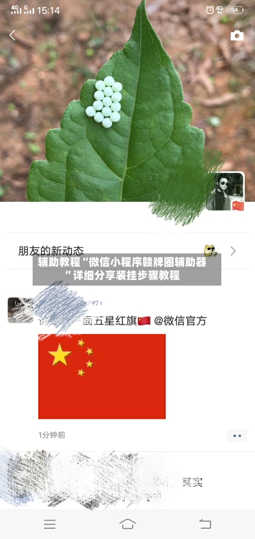 辅助教程“微信小程序赣牌圈辅助器”详细分享装挂步骤教程-第3张图片