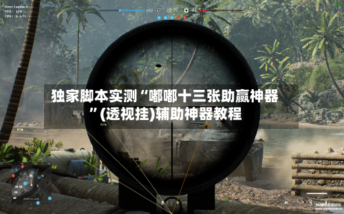 独家脚本实测“嘟嘟十三张助赢神器”(透视挂)辅助神器教程-第2张图片