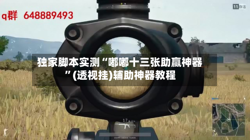 独家脚本实测“嘟嘟十三张助赢神器”(透视挂)辅助神器教程-第3张图片