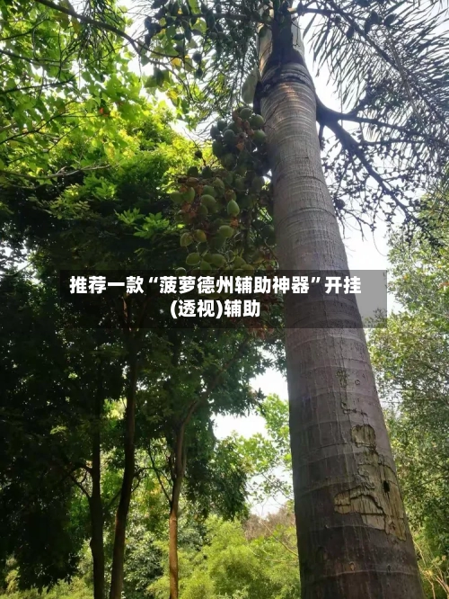推荐一款“菠萝德州辅助神器”开挂(透视)辅助-第1张图片