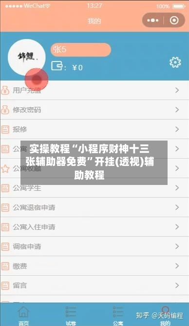 实操教程“小程序财神十三张辅助器免费”开挂(透视)辅助教程-第1张图片