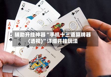 辅助开挂神器“手机十三道算牌器(透视)	”详细开挂玩法-第3张图片