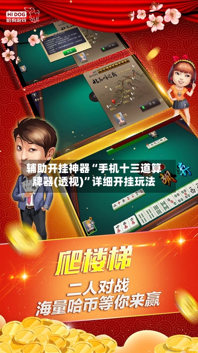 辅助开挂神器“手机十三道算牌器(透视)”详细开挂玩法-第2张图片