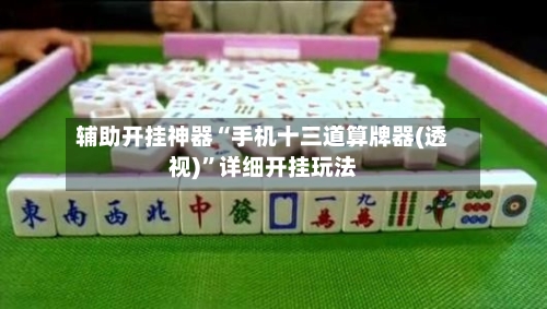 辅助开挂神器“手机十三道算牌器(透视)”详细开挂玩法-第1张图片