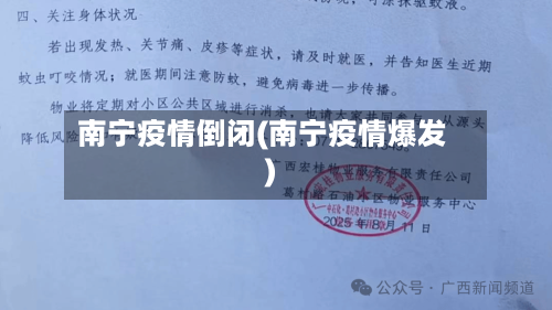 南宁疫情倒闭(南宁疫情爆发)-第2张图片